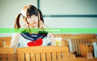 警中警之警中兄弟电视剧