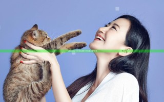 《鬼泣5》关卡9V怎么通过 关卡9V通关技巧分享
