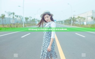 艾尔登法环飞行羽毛有什么用 飞行羽毛在哪获得